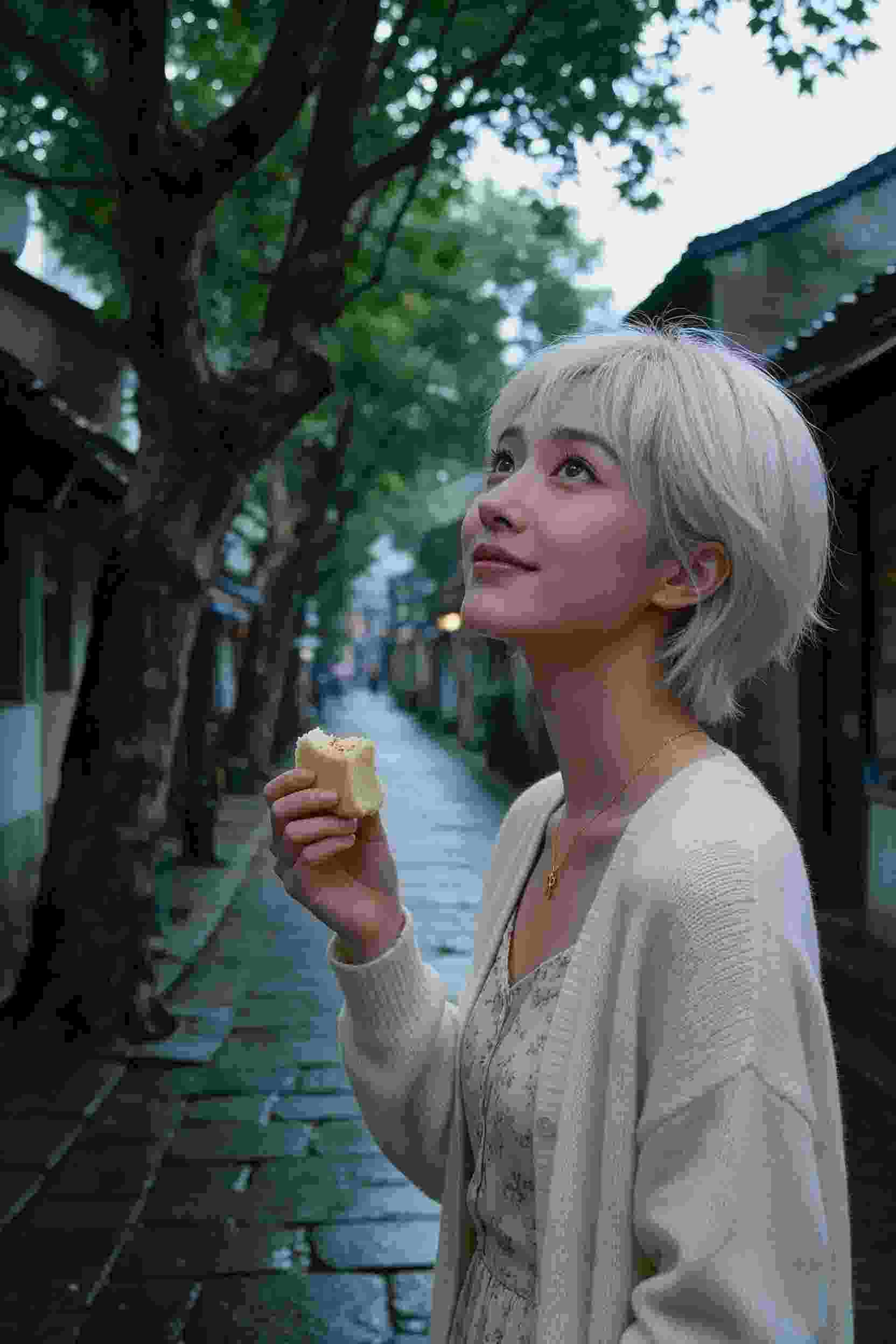 暗夜使徒